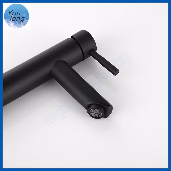 앤티크 온수 냉수 믹서 수도꼭지 304 스테인레스 스틸 매트 블랙 욕실 싱크대 수도꼭지